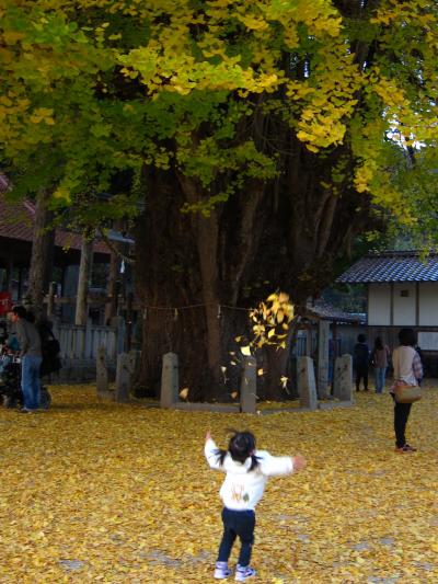 県北ドライブ~三段峡・筒賀大歳神社~