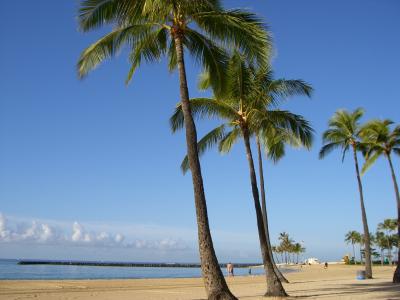 個人旅行　ハワイ　５日間　ハッピーアワー＆サンドバー