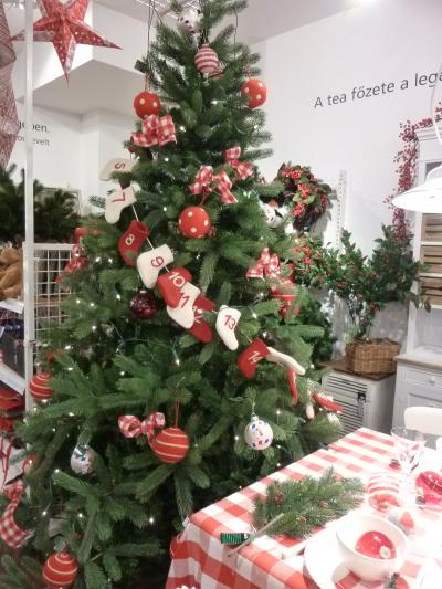 クリスマスのブダペスト’１１　その１