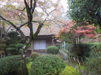 雨の九年庵と環境芸術の森