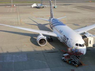 仕事に絡めてB７８７