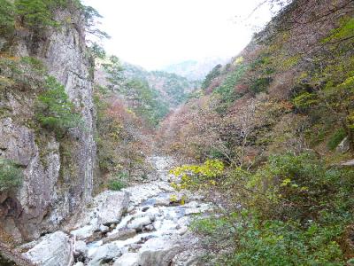 なんだかへんだぞ今年の紅葉