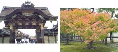 息子の住む秋の京都を訪ねて