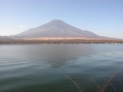 富士山ぐるっと一周（富士急ハイランド・山中湖・サファリパーク・焼津）
