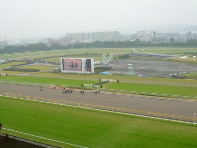 秋の東京競馬場♪　ＶＩＰサロンで優雅に競馬を楽しむ♪