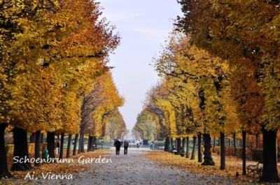 秋のシェーンブルン宮殿のお庭をお散歩