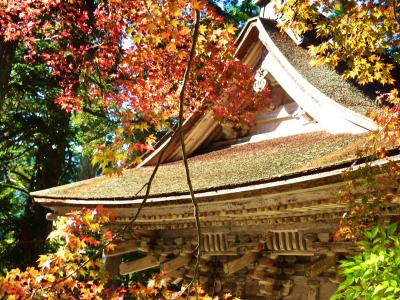 紅葉の名所を繋ぐ妙法ヶ岳に登る♪　谷汲山華厳寺から両界山横蔵寺へ