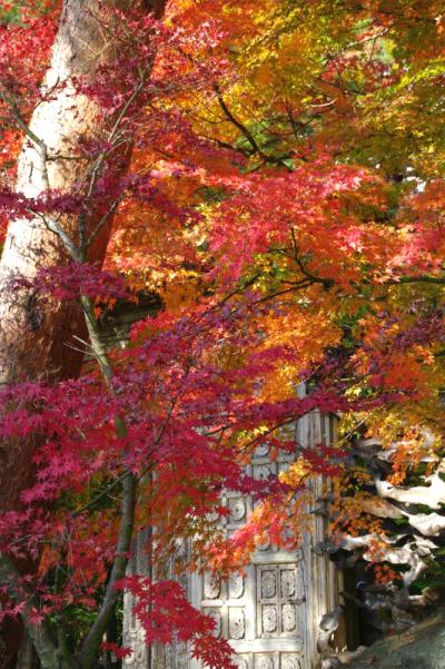 河口湖の「もみじ回廊」と「久保田一竹美術館」の鮮やかな紅葉