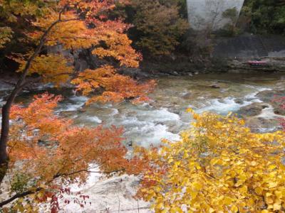 紅葉に魅せられて～～♪