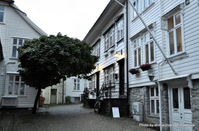 ノルウェー フィヨルド・氷河めぐりの旅！vol.1 パリ → ベルゲン