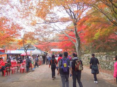 No14．韓国15日間レンタカー周遊の旅：竹録苑、内藏山の紅葉