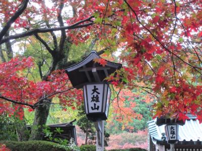 大雄山最乗寺の紅葉