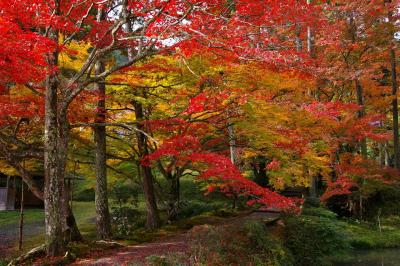 2011　京都紅葉便りⅠ－１　園部・龍穏寺へ～　