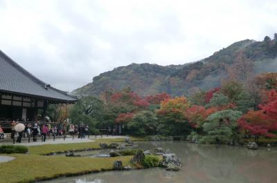 そうだ、京都いこう。ではなく職員旅行で関西行ってきました
