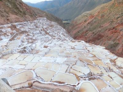 2011夏休み 初めてのペルー13日間の旅（５）聖なる谷のモライ遺跡とマラスの塩田
