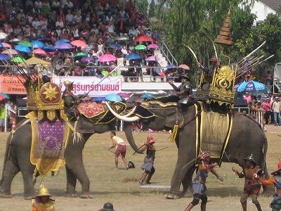 スリンの象祭り