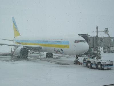 旭山動物園&スキー旅行