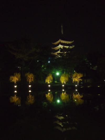 ２０１１　至福の湯豆腐を♪奈良町 豆腐庵こうどう＆大浴場が魅力！ホテル日航奈良