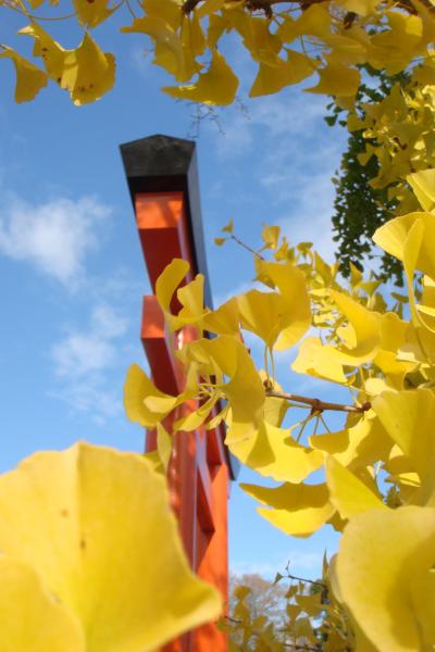 2011 晩秋　津島神社が秋色に染まった☆