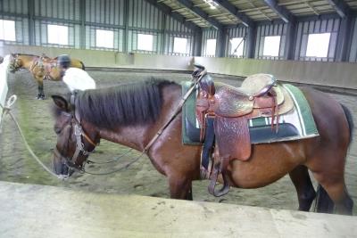 木曽馬と駒ケ岳