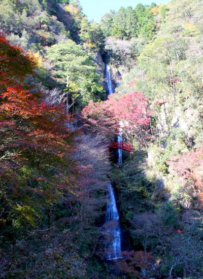 2011.11月 晩秋の一日、紅葉を見に行く。八百津～寂光院♪