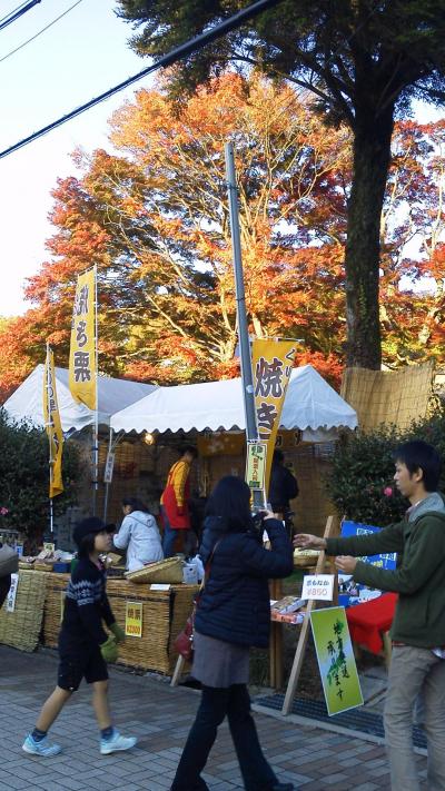 秋の紅葉谷を抜けて有馬温泉へ