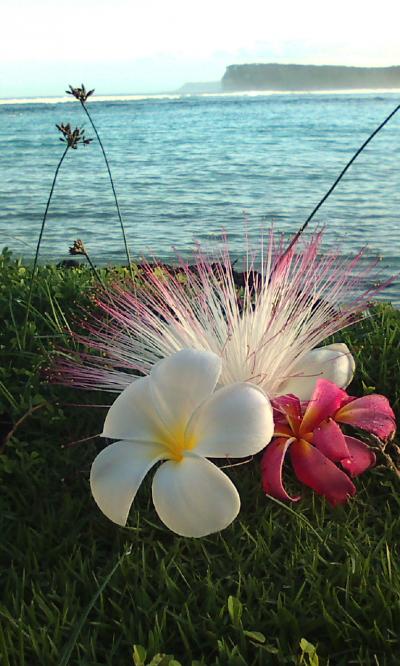 2011 GUAM フェスタリゾート 3日目~最終日