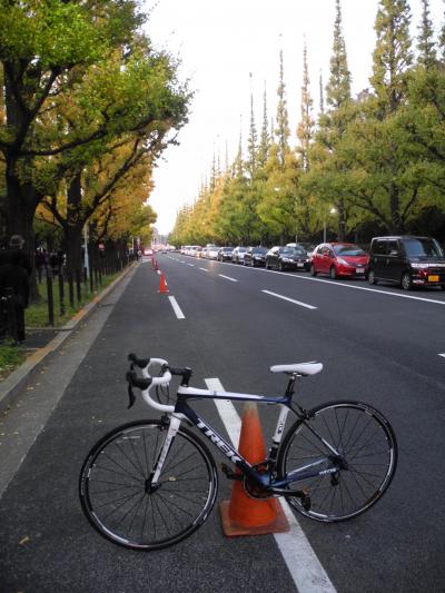 2011年11月　新自転車で、神宮外苑のいちょう祭りに行ってきました。