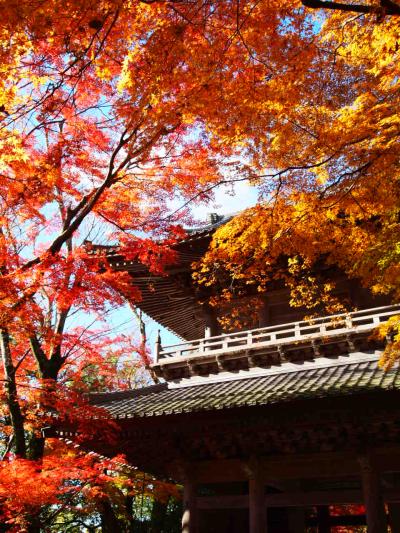 湖東散策：紅葉の永源寺・近江八幡・彦根城をめぐる