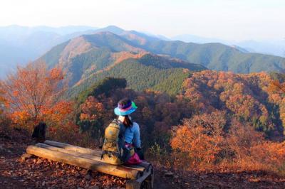 山登り 有間ダム~棒ノ嶺~黒山~岩茸石山~惣岳山