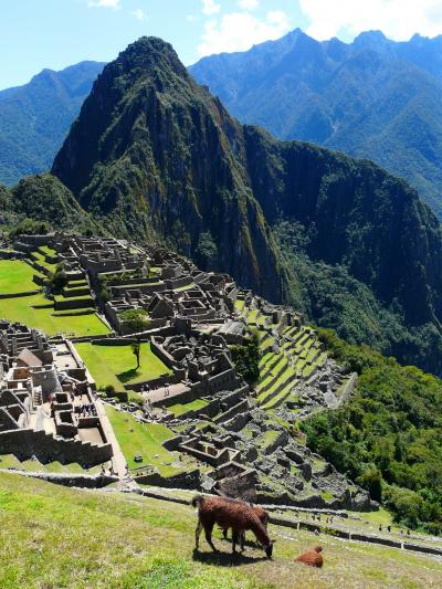 2011夏休み 初めてのペルー13日間の旅（７）念願の世界遺産マチュピチュ遺跡を満喫