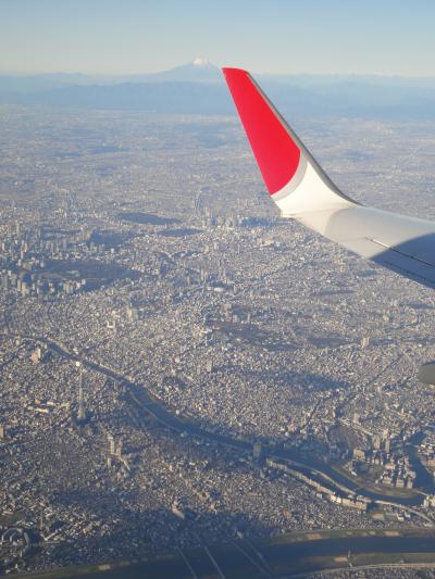 雪の函館へ　羽田～函館　飛行機からの風景