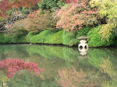 神泉苑の紅葉・・・・・・二条城の隣に有ります・・・・この日は丁度お護摩もされていました