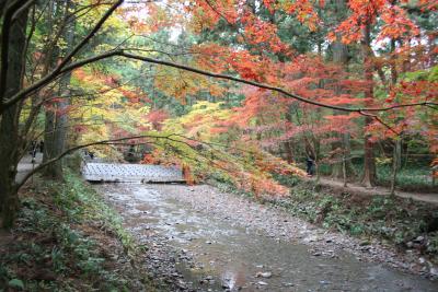 小国神社（静岡県袋井市）の紅葉