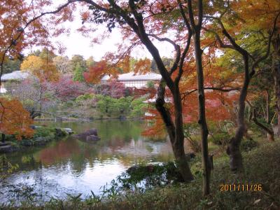 見ごろも終わりがけの成田山新勝寺の紅葉を愛でる・・・