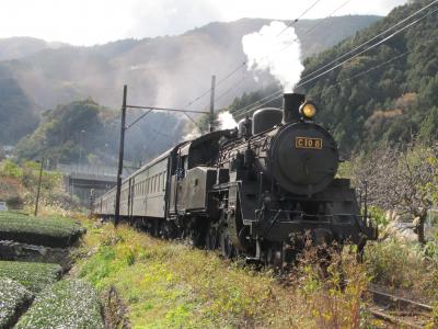 大井川鐵道沿線をドライブ（ＳＬ・寸又峡温泉・夢の吊橋)