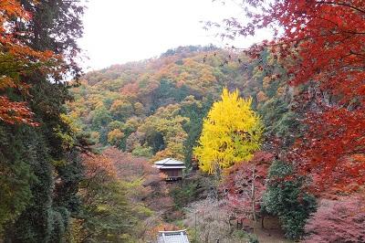 足利学校と浄因寺絶景紅葉狩り