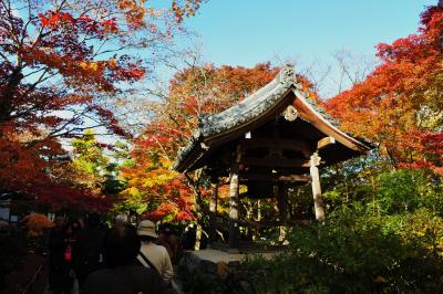 京都の紅葉狩り二箇所目は常寂光寺