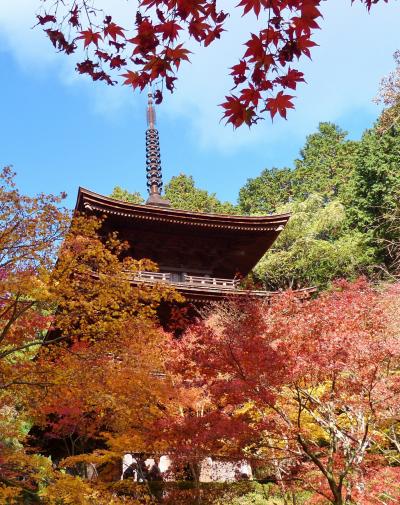 ２０11年！今年も紅葉の季節がやって来た！湖東の秋は紅葉真っ盛り＝☆金剛輪寺＆西明寺編