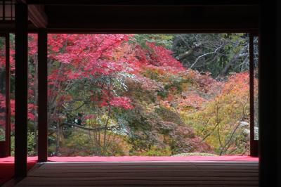 京都の紅葉　２０１１「天竜寺・南禅寺・真如堂」