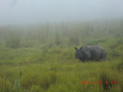再びネパールへ　トリシュリ川ラフティング　チトワン国立公園ジャングルサファリ