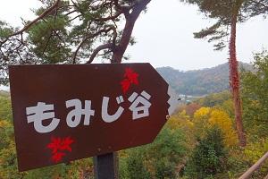 織姫公園もみじ谷と茂林寺