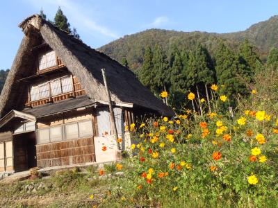 日帰りで世界遺産☆白川郷＆五箇山②