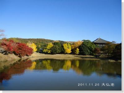 奈良公園の紅葉・黄葉
