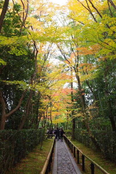 2011年秋の紅葉散策　in京都