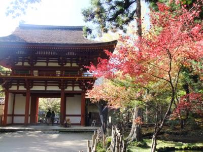 ①奈良・・・正倉院展、室生寺