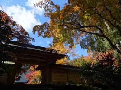 ２０１１・晩秋・よく晴れた日の谷汲山＋各地の紅葉色々