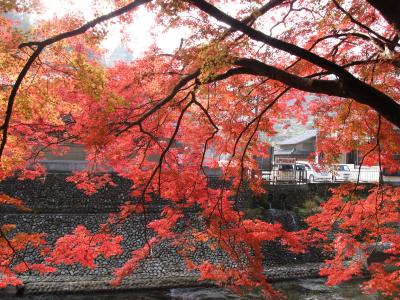 奈良県内の紅葉名所を巡る～室生寺～