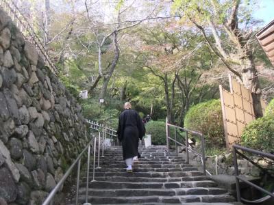 ②奈良・・・長谷寺、談山神社