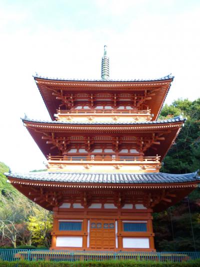  “２０１１年！最初で最後の紅葉狩り♪　清水寺本坊庭園”